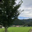 화니통신 - 울진군 덕구온천로 46-8 | 화니통신