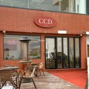카페CCD송정점 이미지