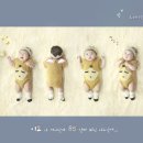 파노라마스튜디오