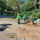 고삼면사무소 이미지