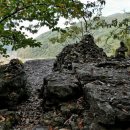 봉황대운동장 이미지