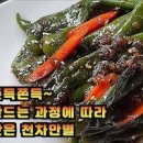 고추조림 만드는법 너무 맛있는 멸치고추조림 레시피 끝물고추요리 이미지