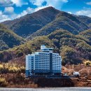 힐링호텔 이미지