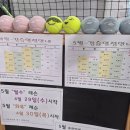 대전도안실내테니스장