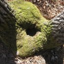 오류4리 이미지