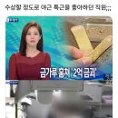 태산겔러리