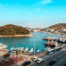 완도네시아 이미지