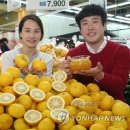 유자유통