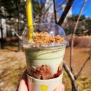 메가스타 | 메가커피 메뉴 크런치 피스타쵸 프라페 가격 칼로리 후기