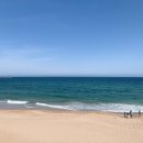 추암해수욕장~증산동 경계 | 삼척 아이와 가볼만한곳 :: 이사부사자공원, 추암해수욕장 출렁다리