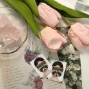 지스튜디오 | [인천/부평] 부평 증명사진 추천! 온지스튜디오 1:1 보정 후기(예약,가격)