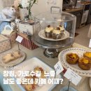 [창원] 가로수길 카페 수제 디저트 맛집 레몬버터디저트샵