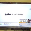 세일(seil) 이미지