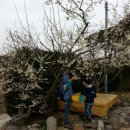 삼차농장 이미지