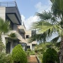 제주의꿈 | [제주 서쪽 숙소 추천] 제주 꿈 펜션 202호 - 내돈내산 후기