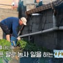 화은1 네이버블로그