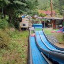 유명산둥지 이미지