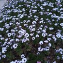 영등포공원 이미지