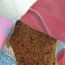 잉꼬세탁 이미지