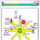 진해 군항제(경남 창원) 이미지