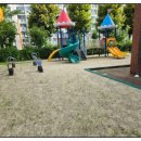 풍암초병설유치원 이미지