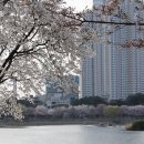 풍경공원 이미지