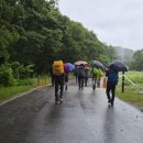 (기백/금원산 후기) 시작은 꿉꿉했지만 마무리는 즐겁게... 이미지