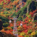시코쿠(四國)섬의 다까마쓰(高松)를 가다(8)......쇼도섬(小豆島)의 간카케이계곡(寒霞渓) 이미지
