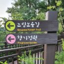 간판이야기 이미지