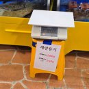 안면도바다처럼 | 싱싱한 제철 새우 가득, 안면도 새우 맛집 바다수산 후기