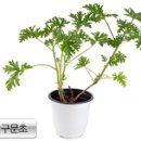 후레시컴퓨터