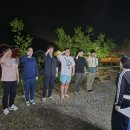 그널미민박 네이버블로그