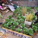 신방학초교 이미지