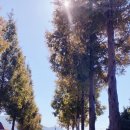 오번풀빌라 이미지