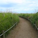 하늘공원(하부) 이미지