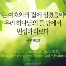 집(The hous 이미지