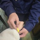 빠리A뽑기방 | 홍대 실내 동물원 테이블에이(Table A) 방문 후기!