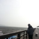 더기봉봉 | [강화도맛집] 강화도 여행 ~* 생생정보통 맛집 진복호 단호박꽃게탕 해산물모듬 회모듬