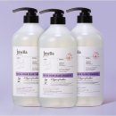 오키드 헤어 이미지