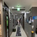 강서 탑 골프존 이미지