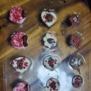 한성체육관(태권도) 이미지