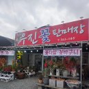 김해꽃식물원 | 김해 꽃집 추천- 싱싱함과 정성이 가득한 우진꽃판매장 방문 후기