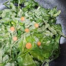 마음소풍 이미지