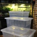 렙타일케이지 이미지