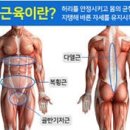 화성태권도장