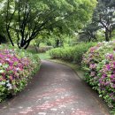 풀내음근린공원 이미지