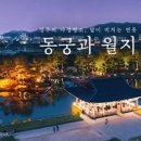 경주 야경명소 동궁과 월지 경주 안압지 야경 투어 뚜벅이여행 이미지