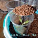 채소공장 티스토리