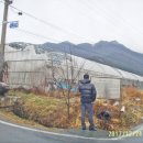 강진IC - 1149 | 강진IC