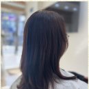 다시봄날 헤어 이미지